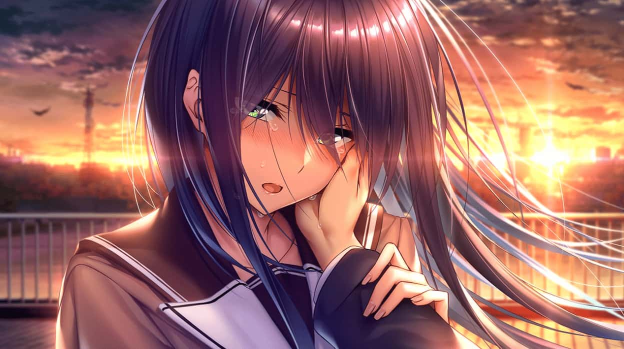 甜蜜女友2～Perfect Edition～ 版