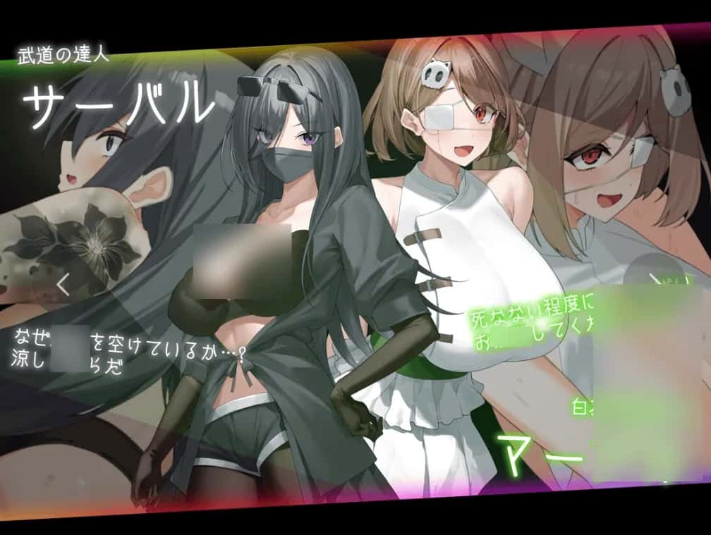 PC/ 盗贼猫的秘密记录 ドロケイ V1.0.1 精翻 版 6G背景