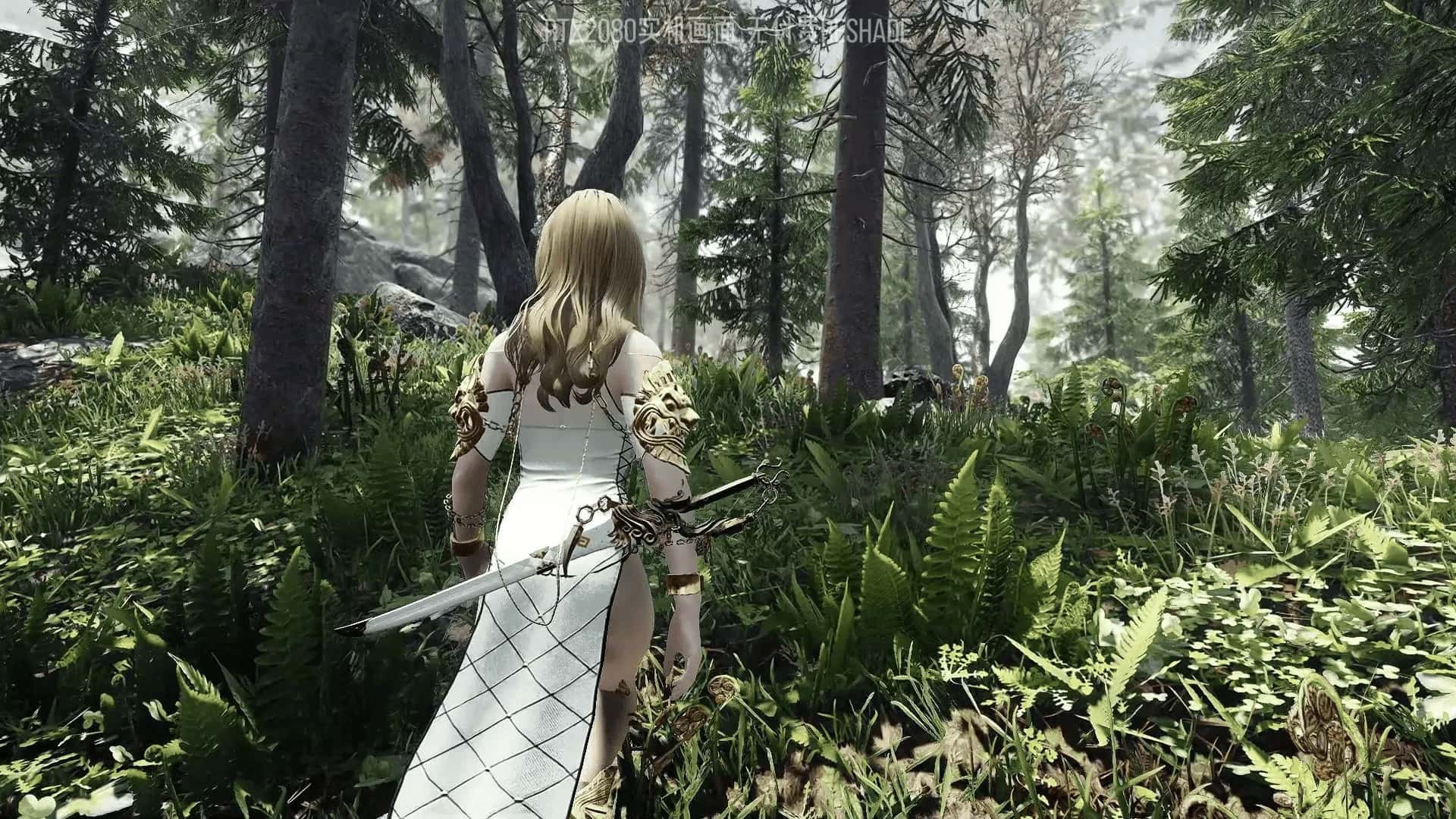 上古卷轴5 星黎SamuRai版 完整整合最新版全息投影